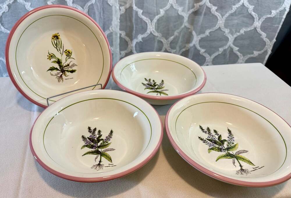 Set of 4 Large Primula Italian Botanical Soup Bowls - Picture 2 of 13